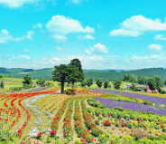 美瑛ぜるぶの丘 ZELB HILL